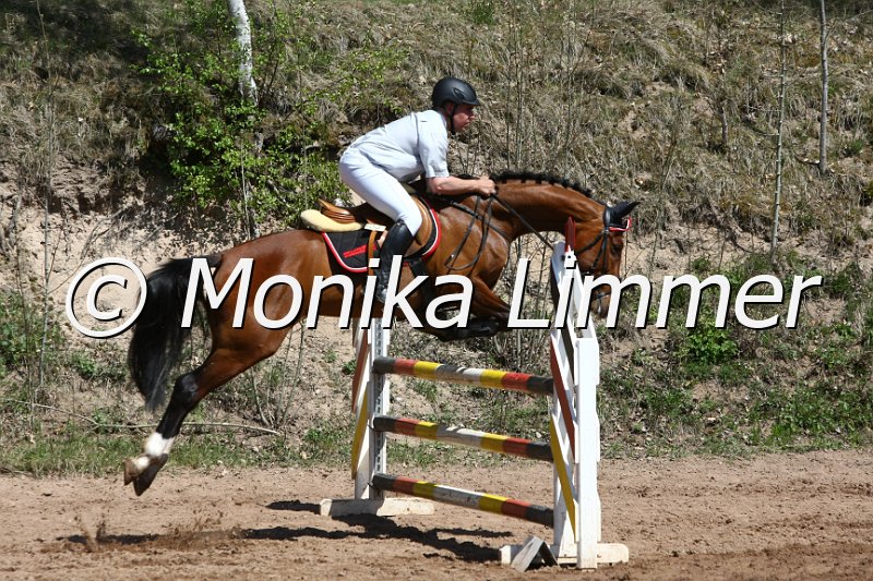 204M8393_Con Cherie_Spring_Axx.JPG